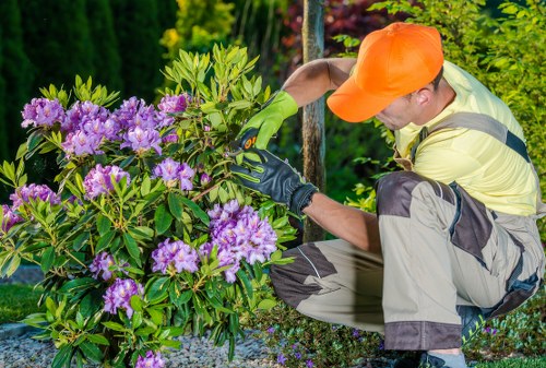 Team trimming a dense residential hedge in Peckham