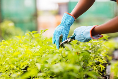 Technician inspecting hedge trimmer maintenance
