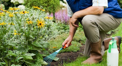 Accessible website interface showing booking options for hedge trimming in Peckham