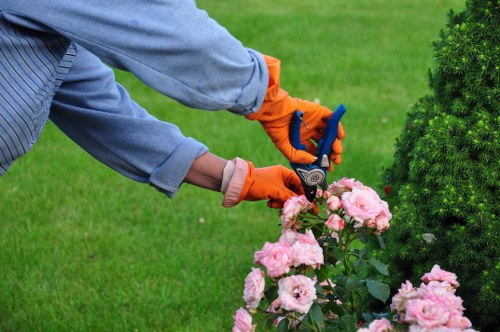 Supervised team completing hedge trimming and clearing debris
