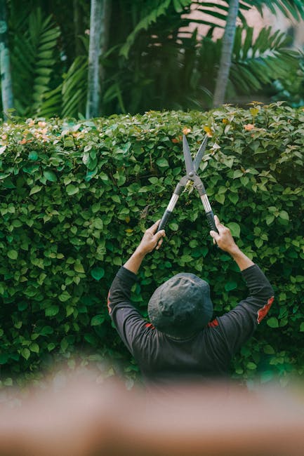 A gardener operating a string trimmer along the base of a white exterior wall of a residential building, with a well-defined shadow cast onto the wall. The person is dressed in long sleeves, trousers,